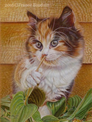 Fête - 44.5 hours
Terracotta Pastelmat
15.5" x 11.5"
From Laila's 7th litter - 2015